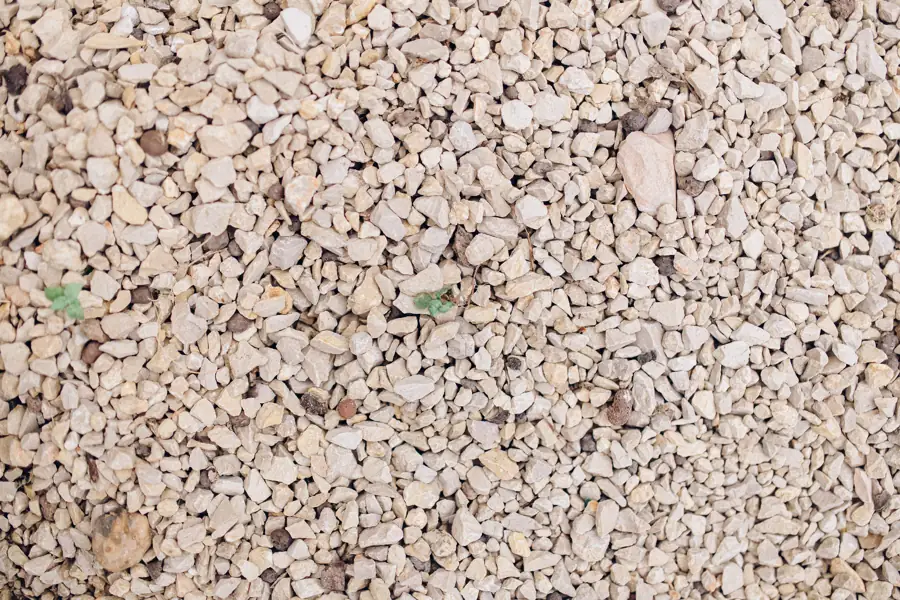 Pale limestone chip, close up