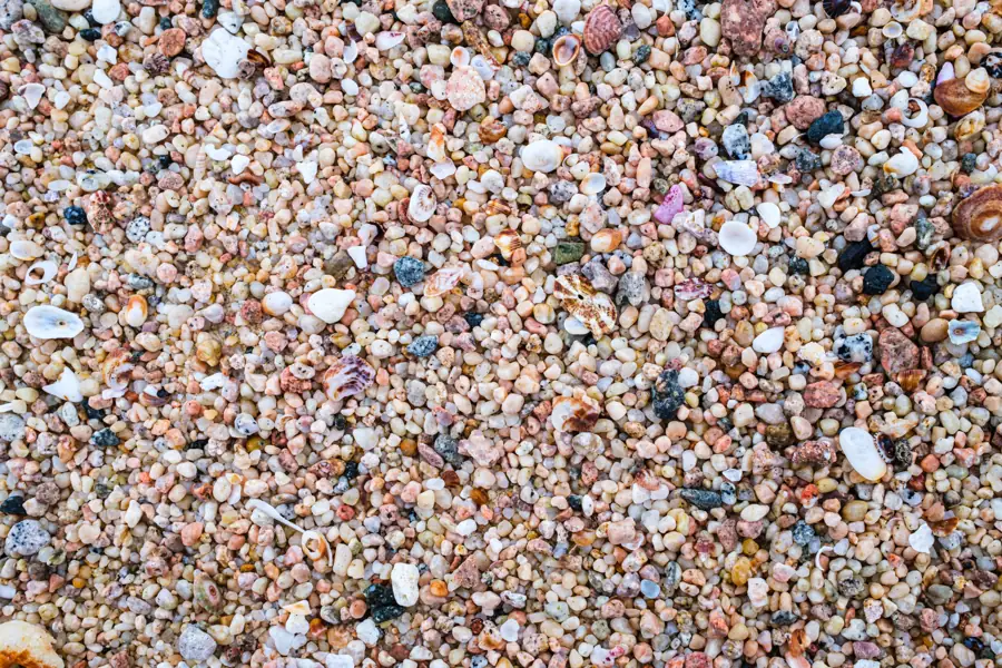 Fine shell and coral grit, close up